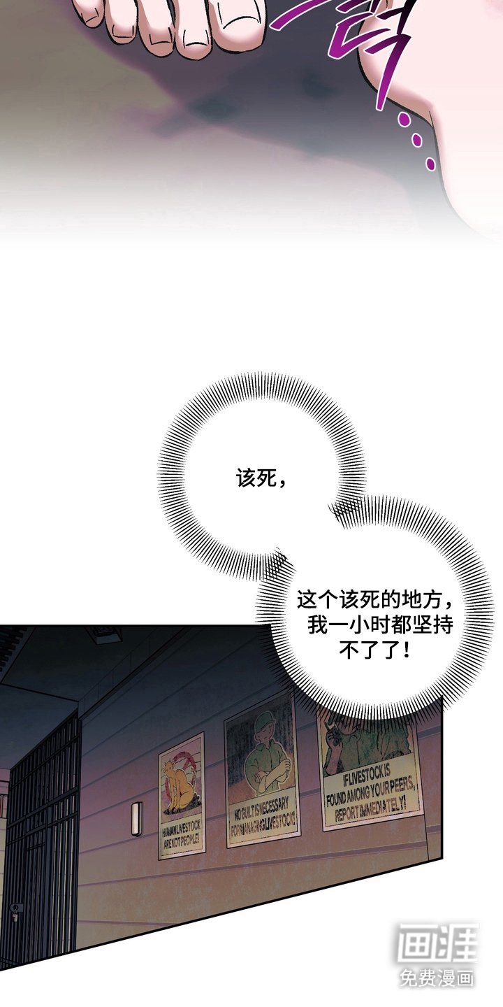第6章：逃跑
