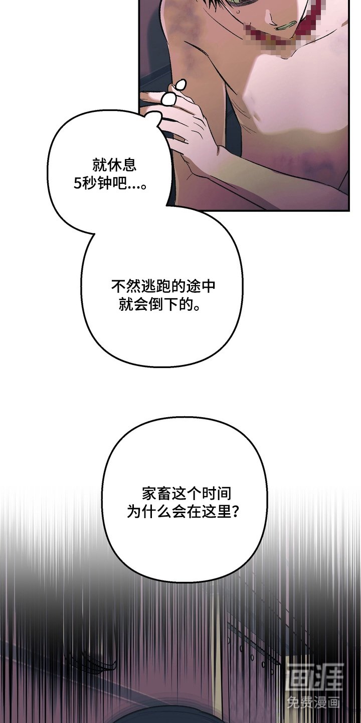 第6章：逃跑