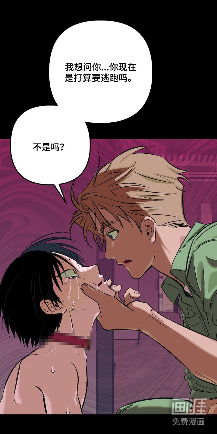 第8章：F级