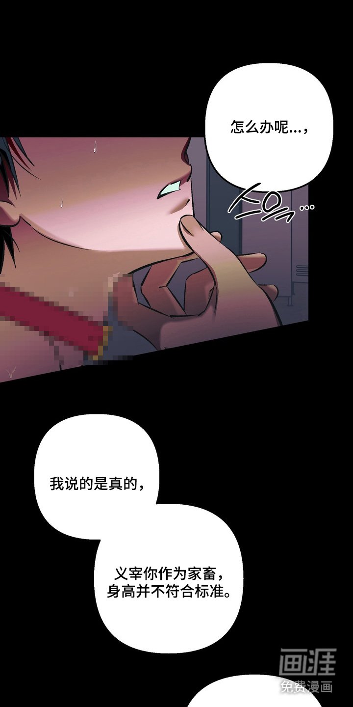 第8章：F级