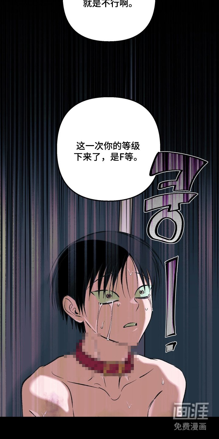 第8章：F级