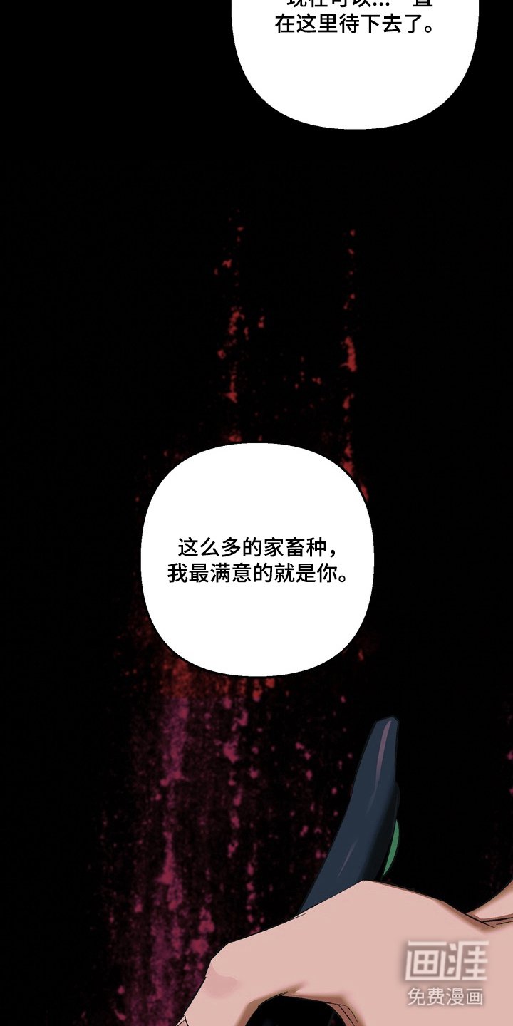 第9章：参观农场（完结）