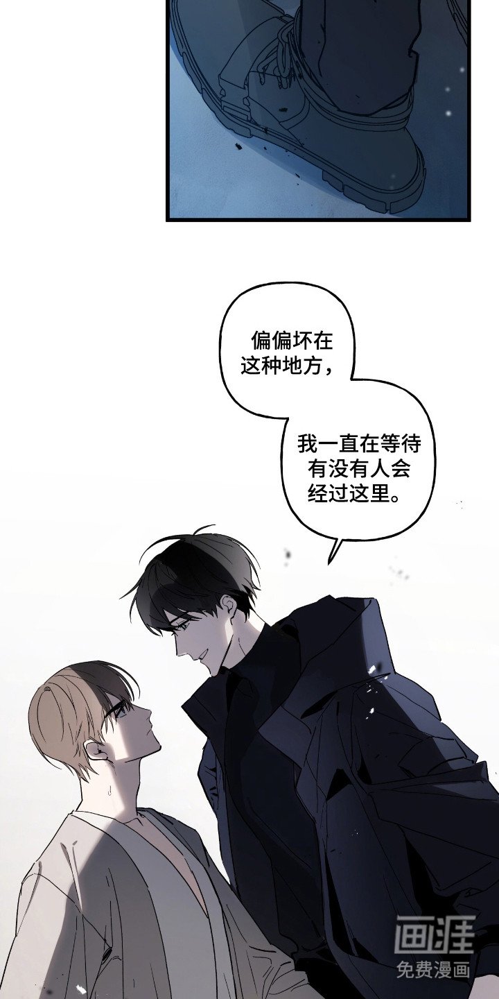 第11章：故意的