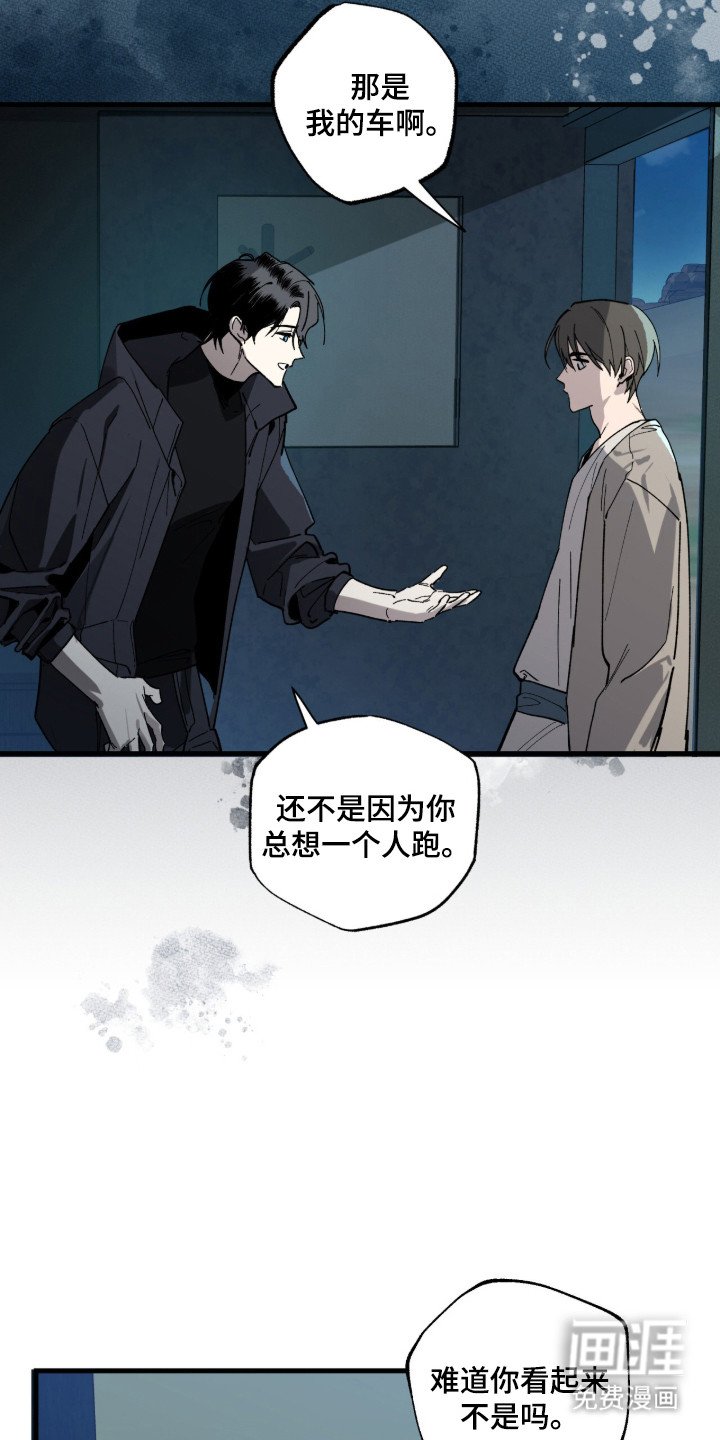 第12章：同行