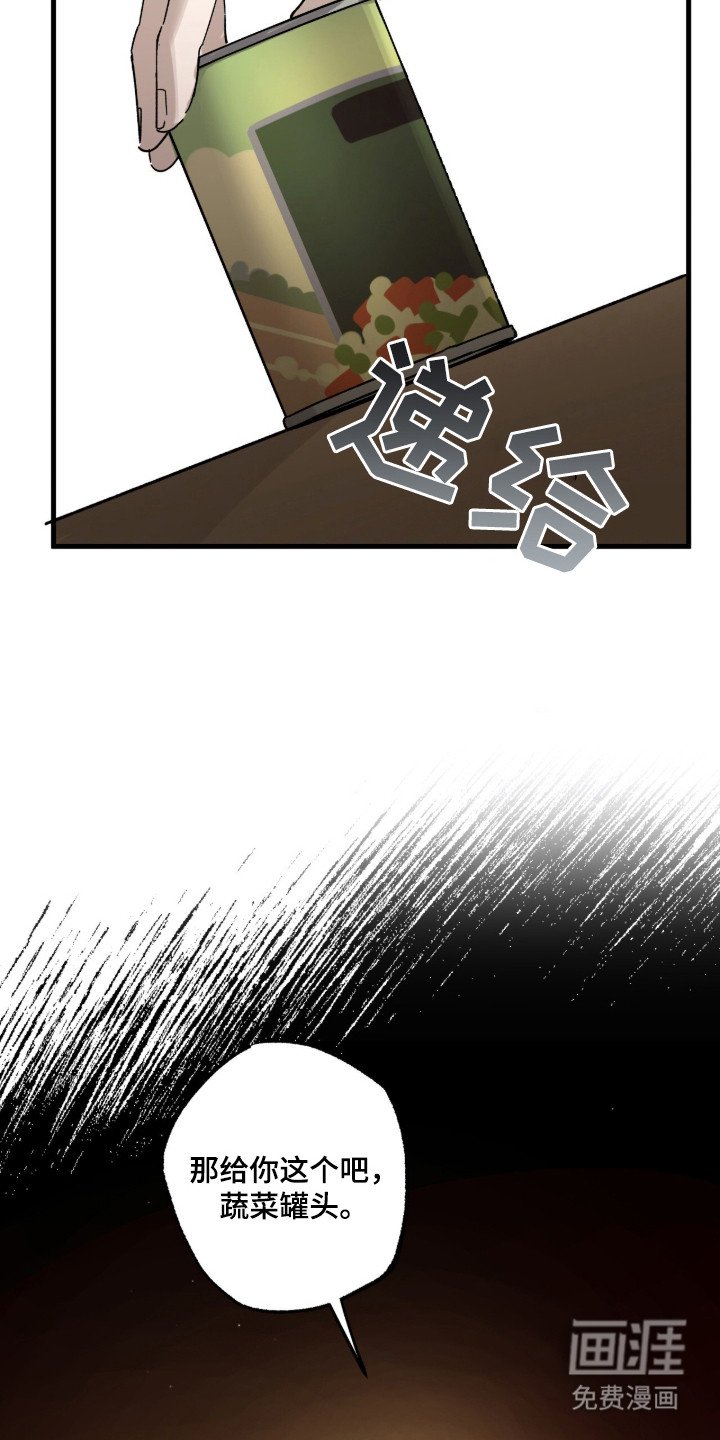第14章：罐头