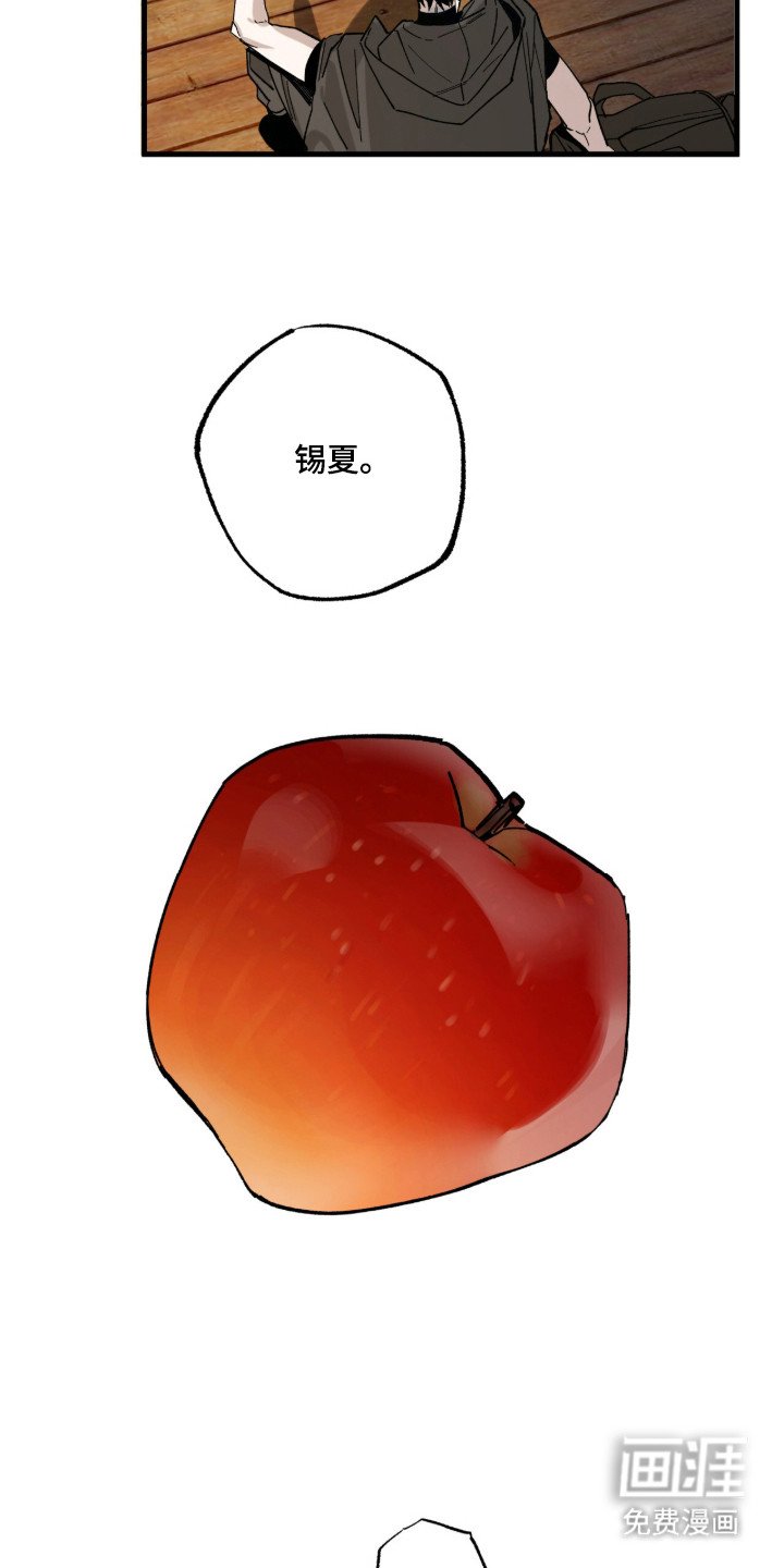 第14章：罐头