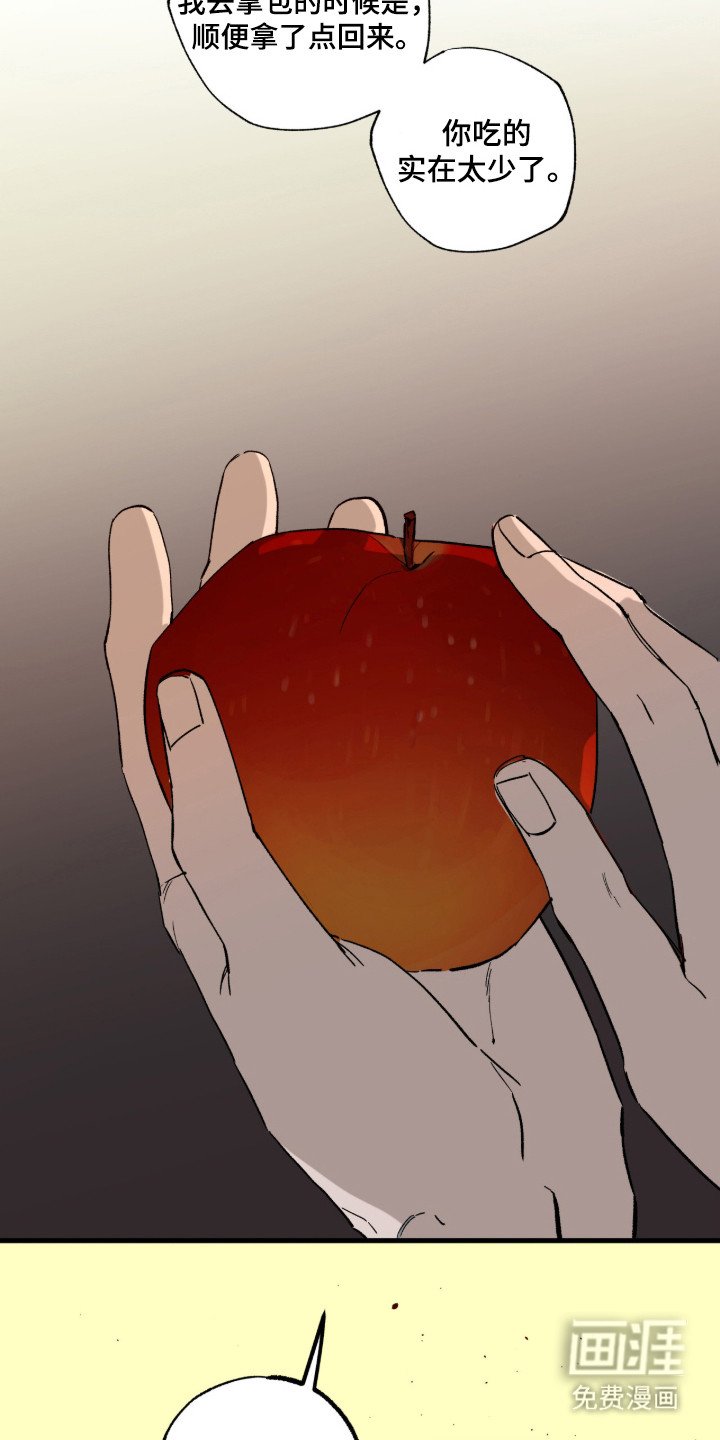 第14章：罐头