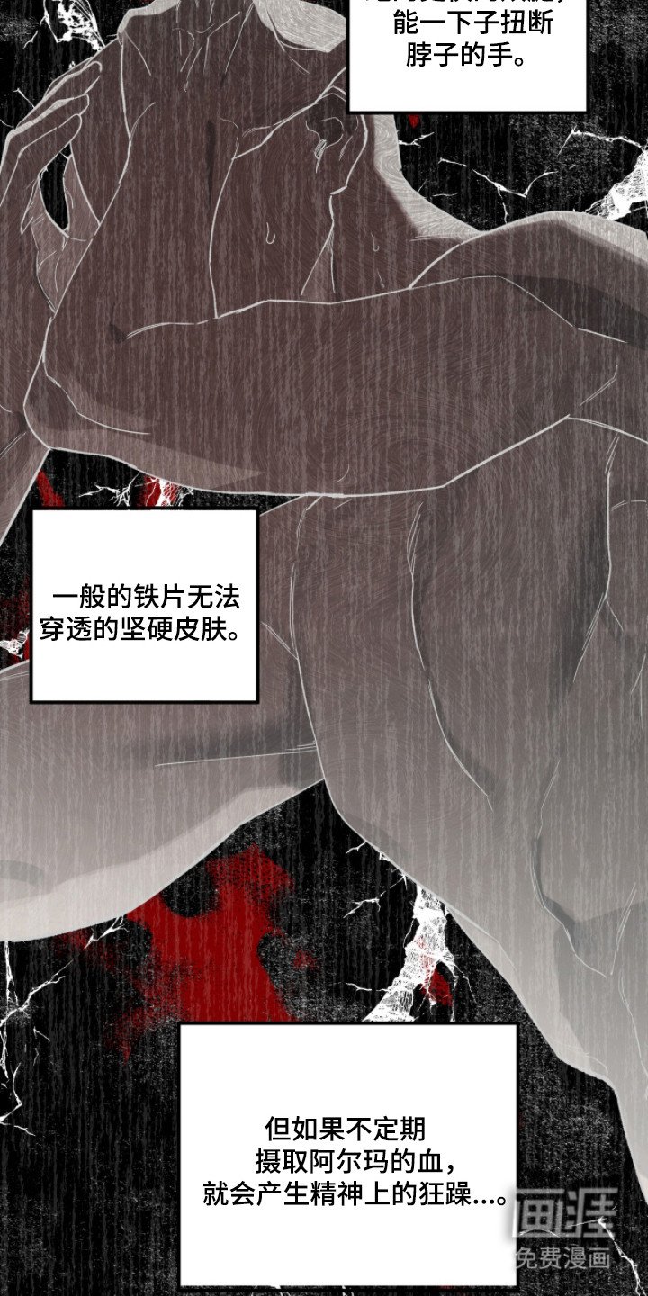 第16章：难以捉摸