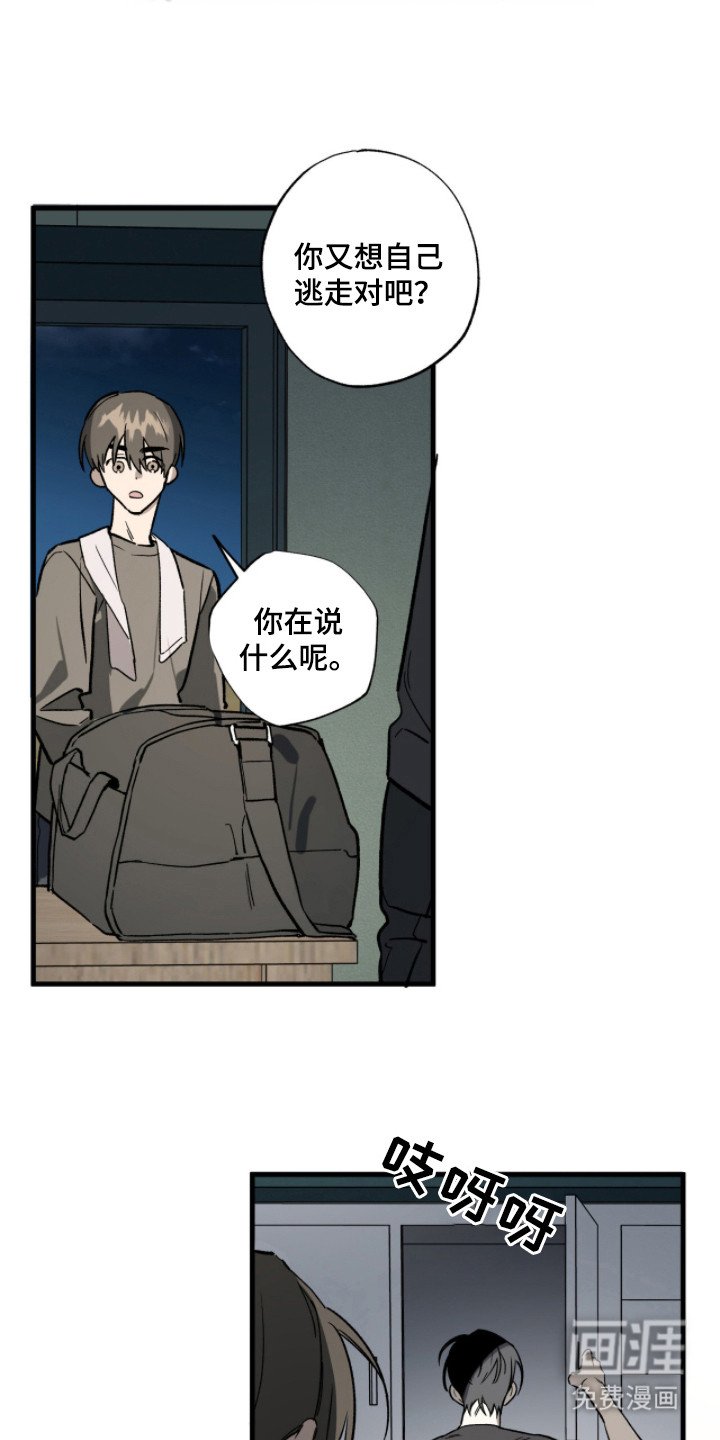 第17章：包扎