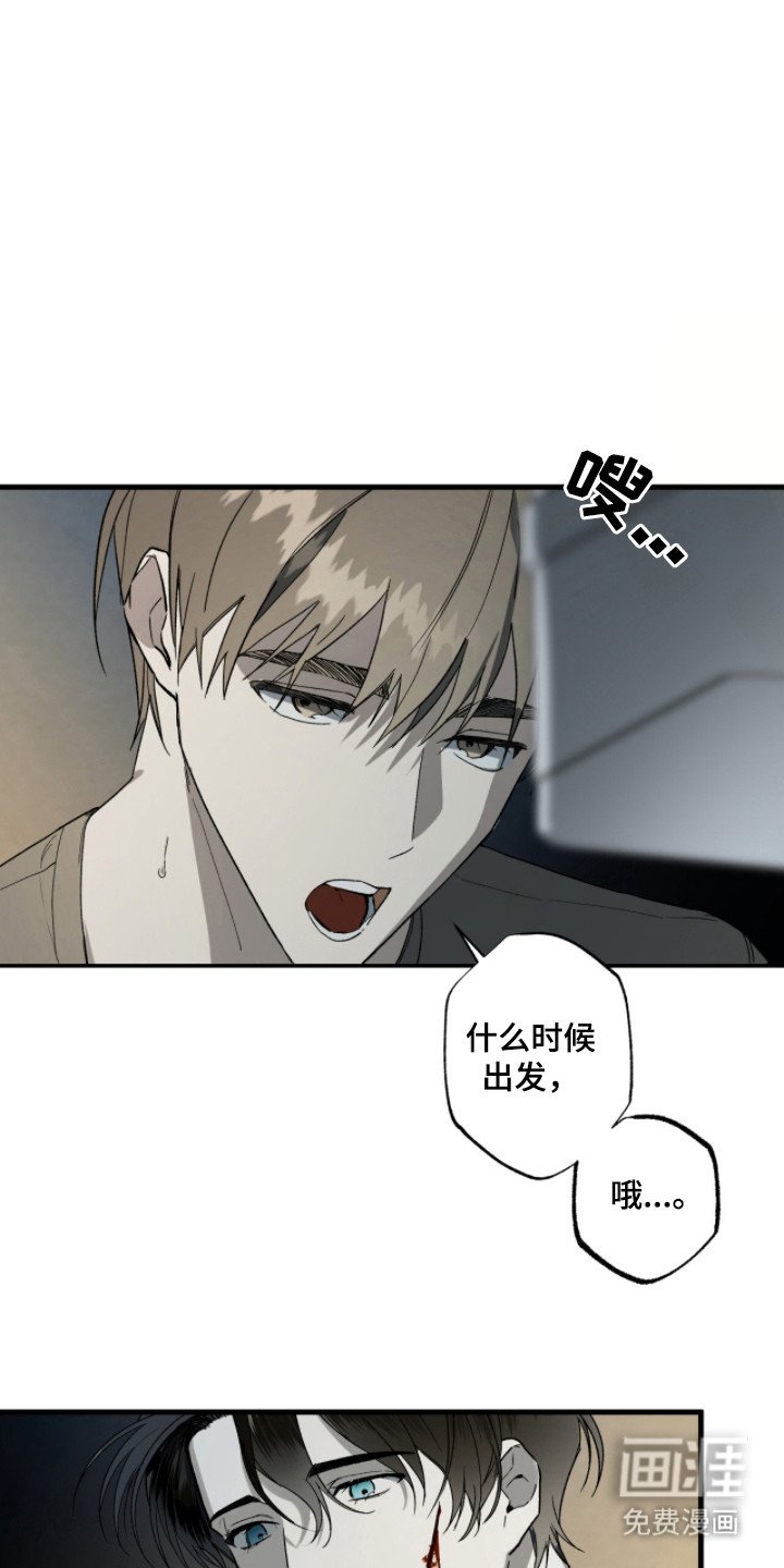 第17章：包扎