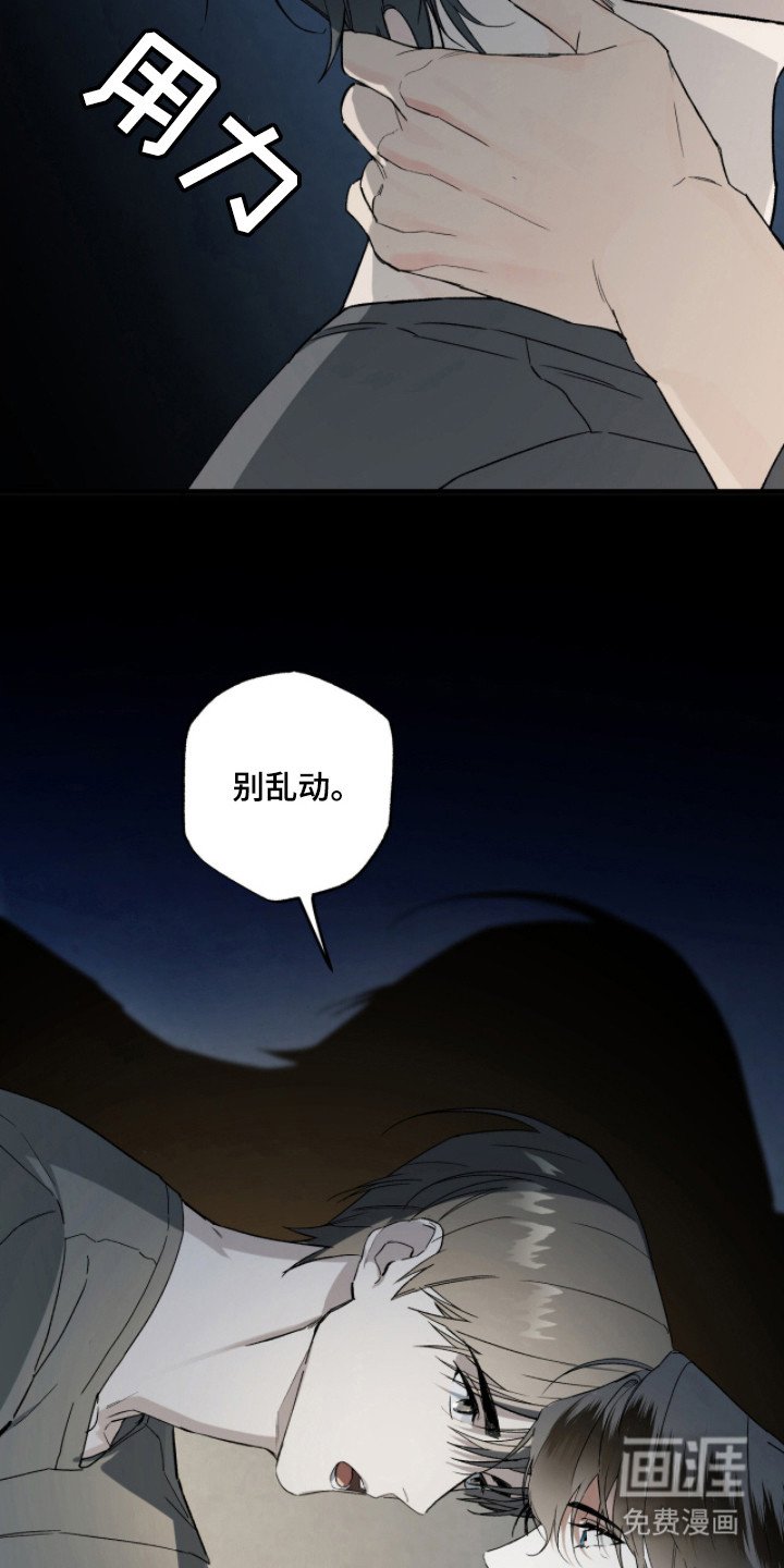 第17章：包扎