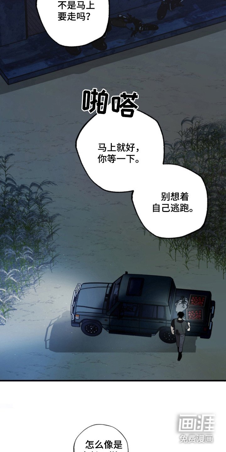 第17章：包扎