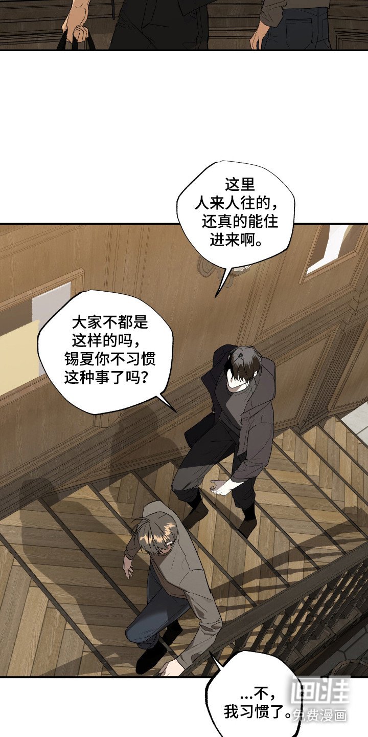 第19章：市场