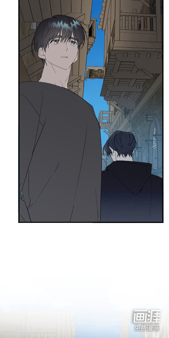 第19章：市场