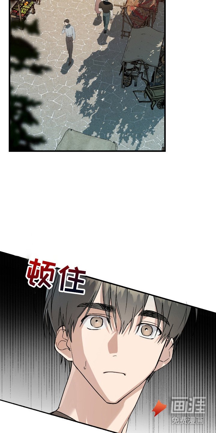 第19章：市场
