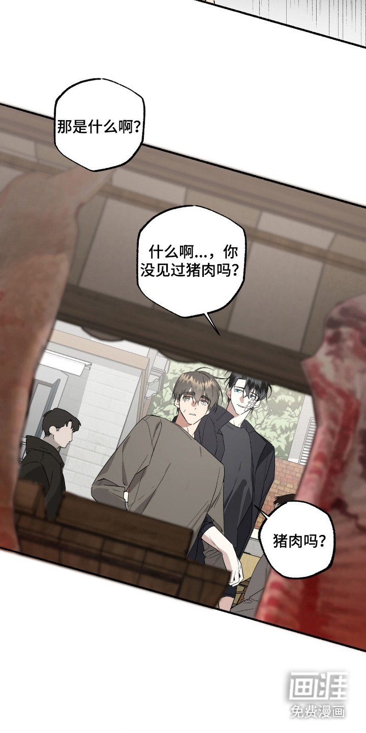 第19章：市场