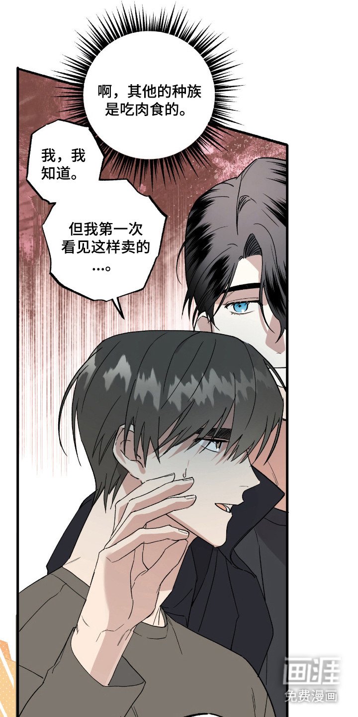 第19章：市场