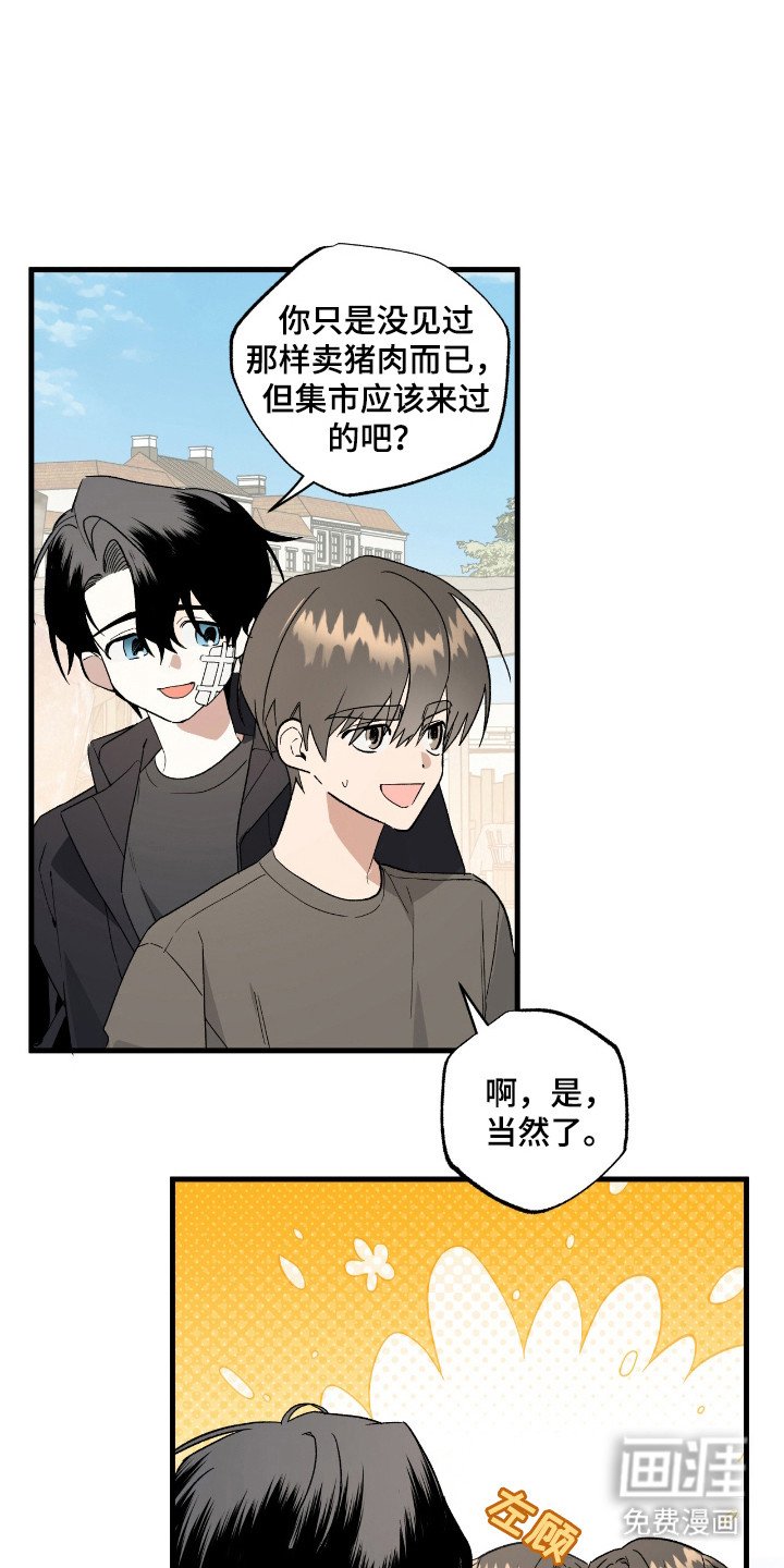第20章：宝石