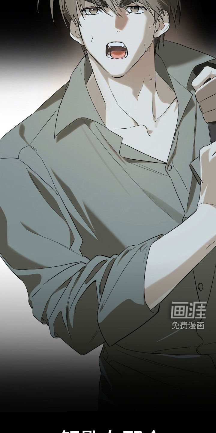 第23章：撞车