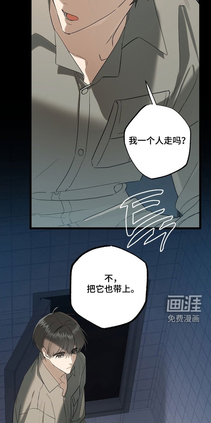 第23章：撞车