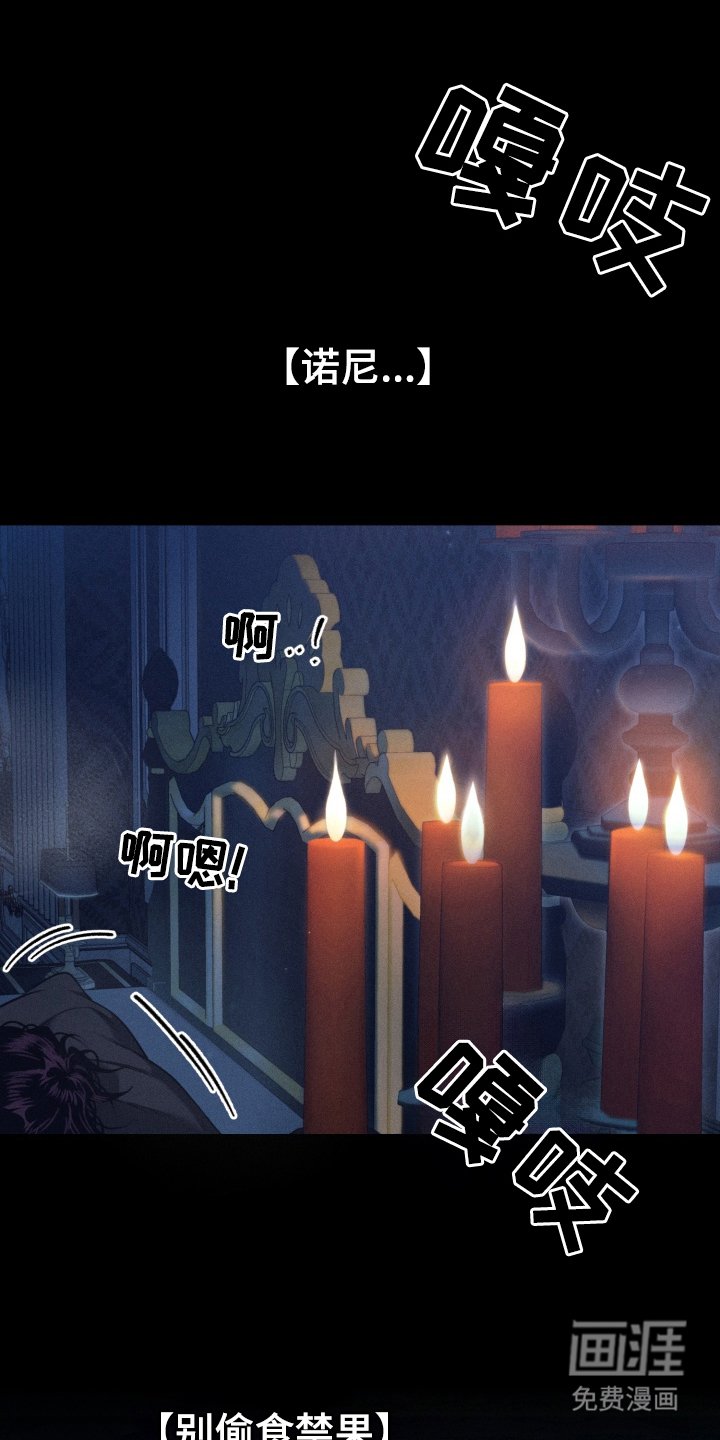 第1章：食禁果