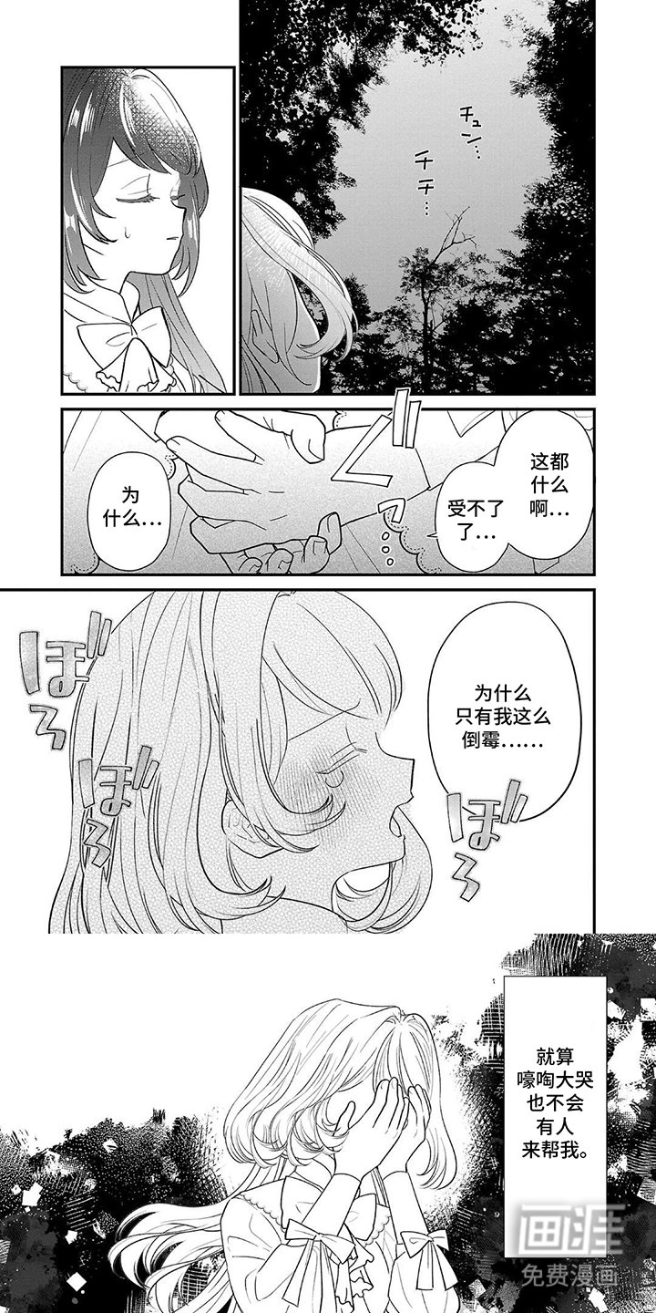 第12章：道歉
