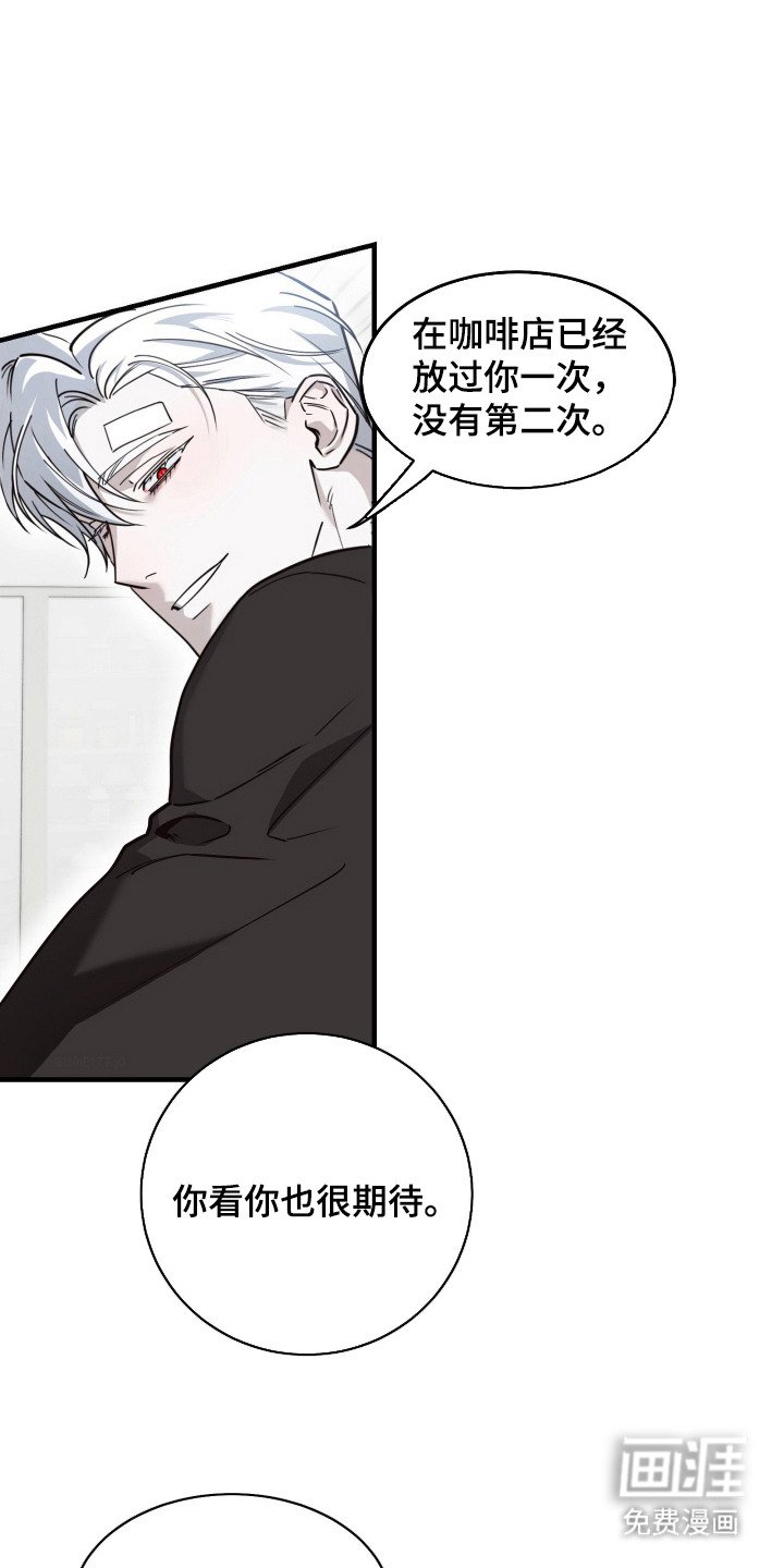 第11章：美男计