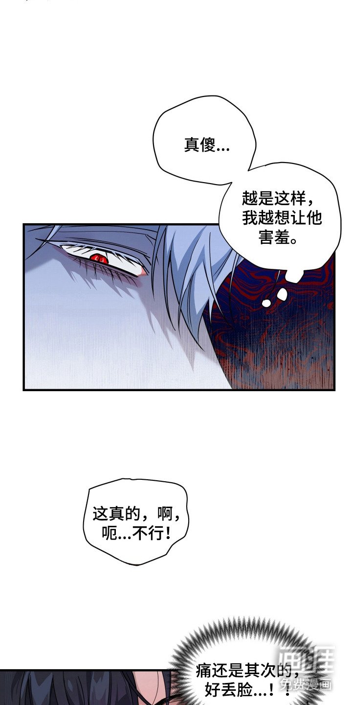 第11章：美男计