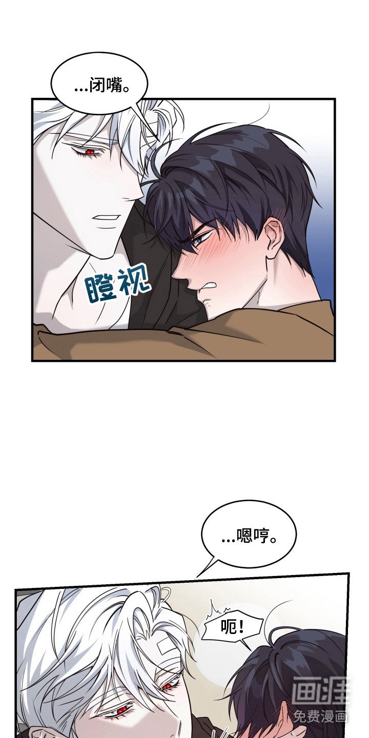 第11章：美男计