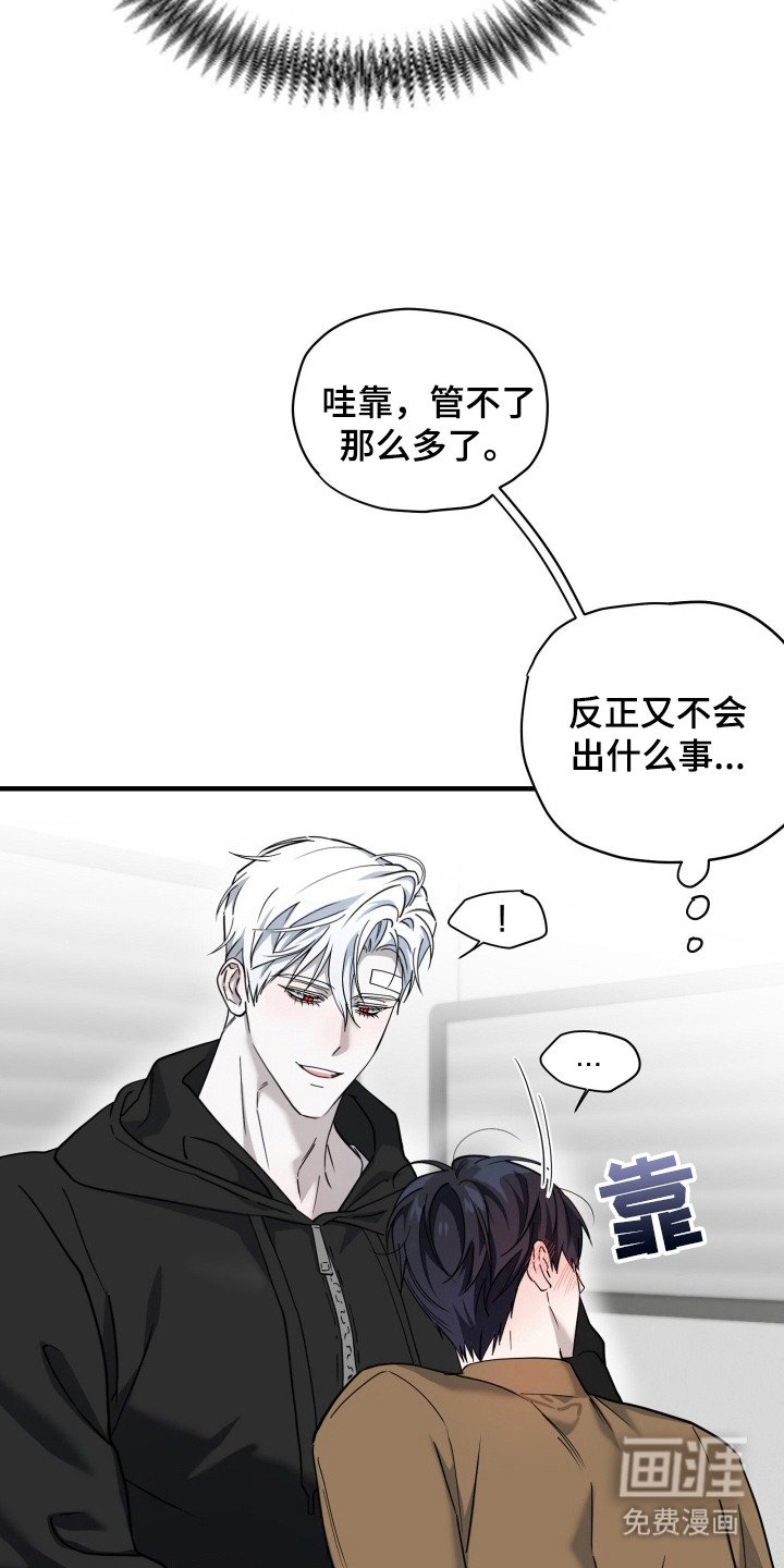 第11章：美男计