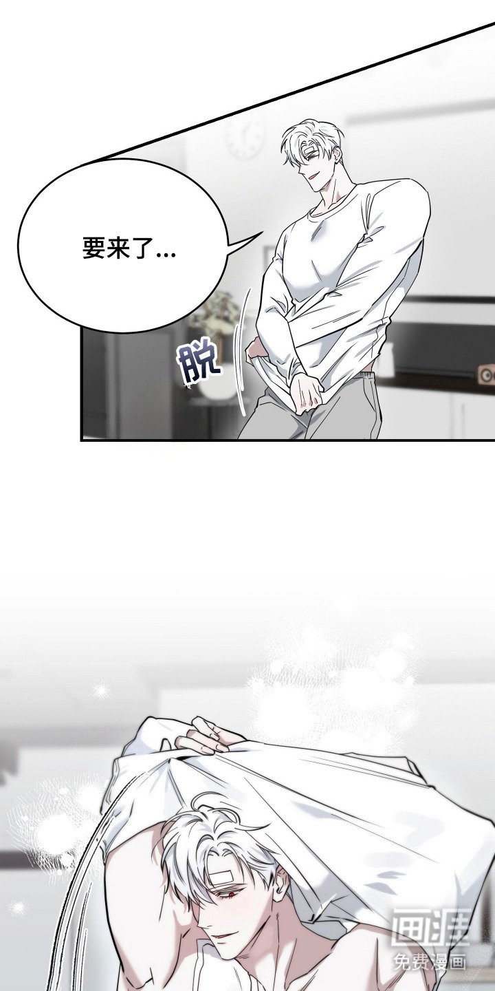 第11章：美男计