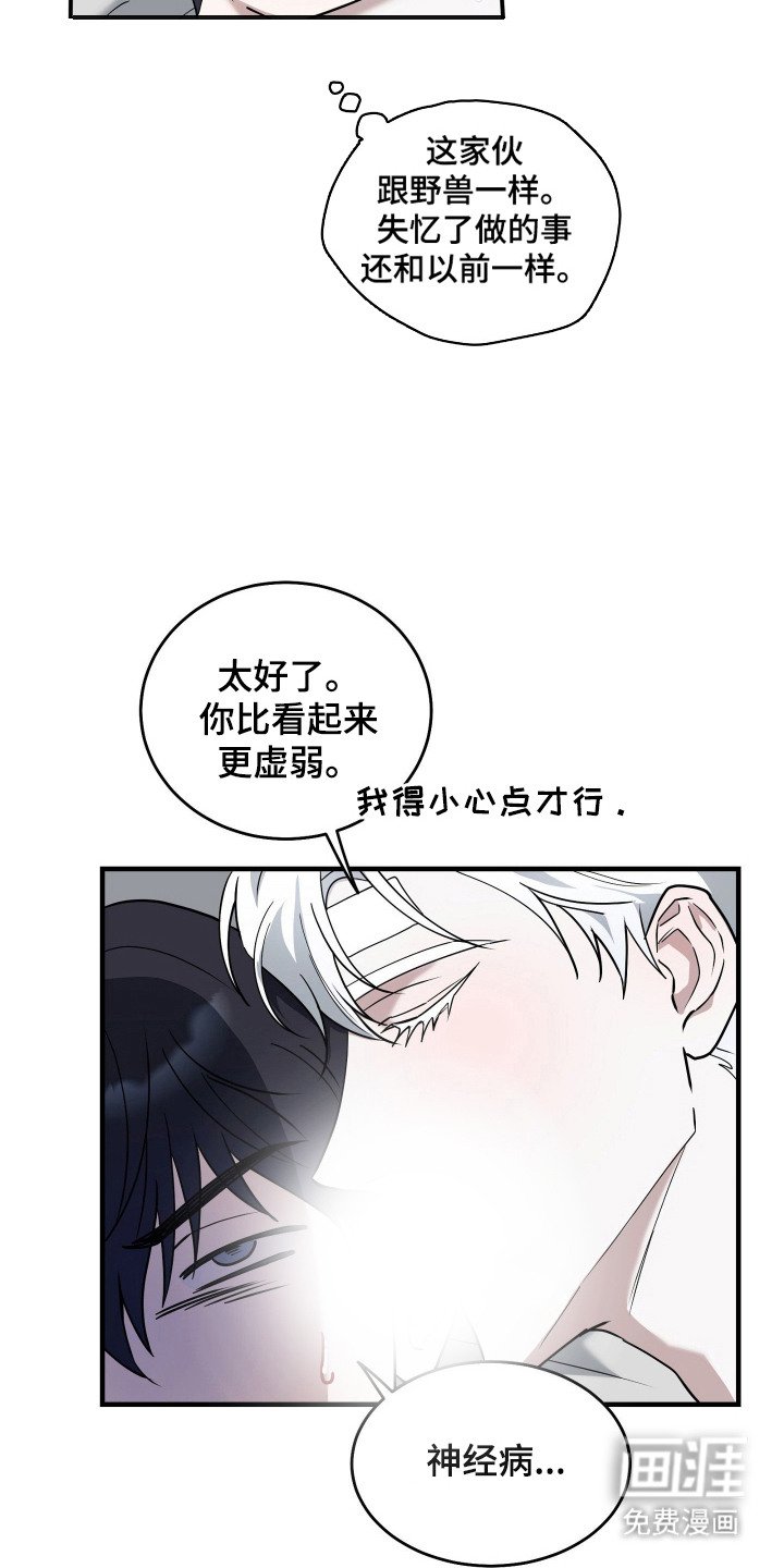 第11章：美男计