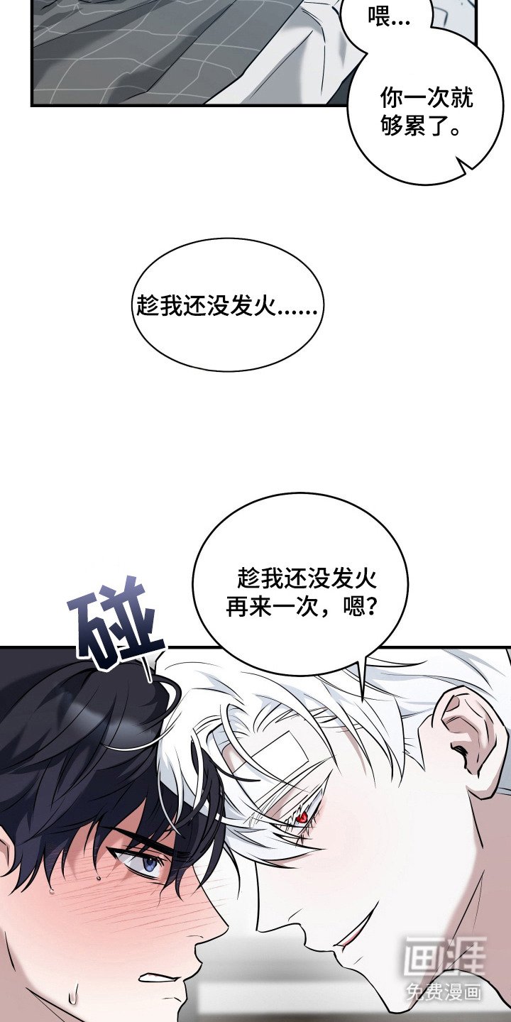 第11章：美男计