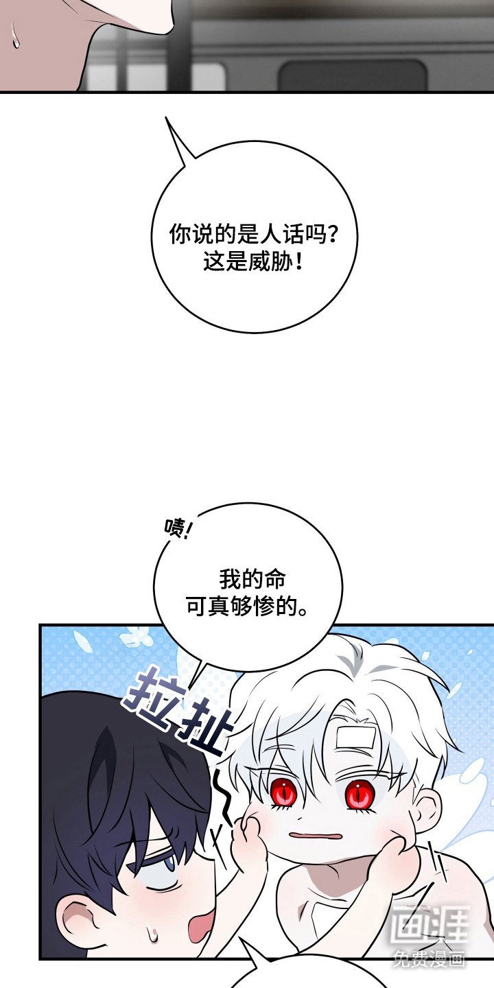 第11章：美男计