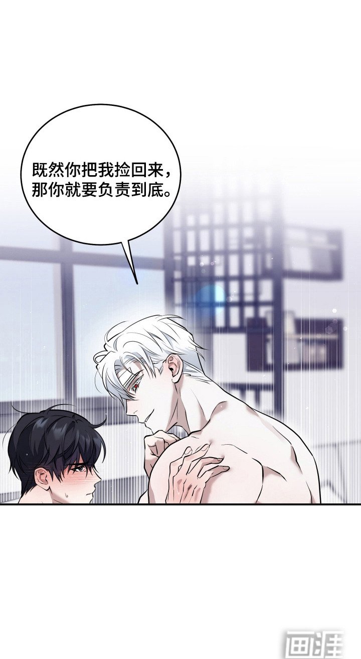 第11章：美男计
