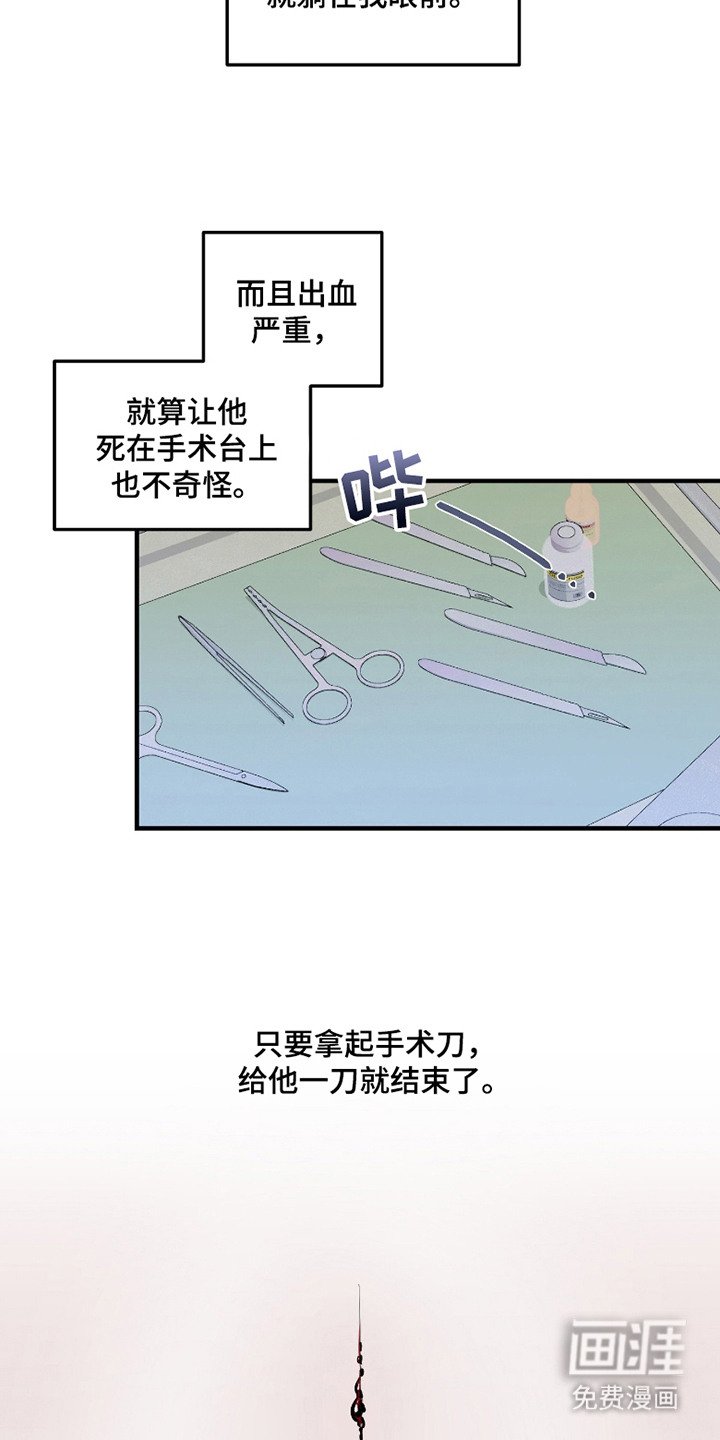第3章：手术