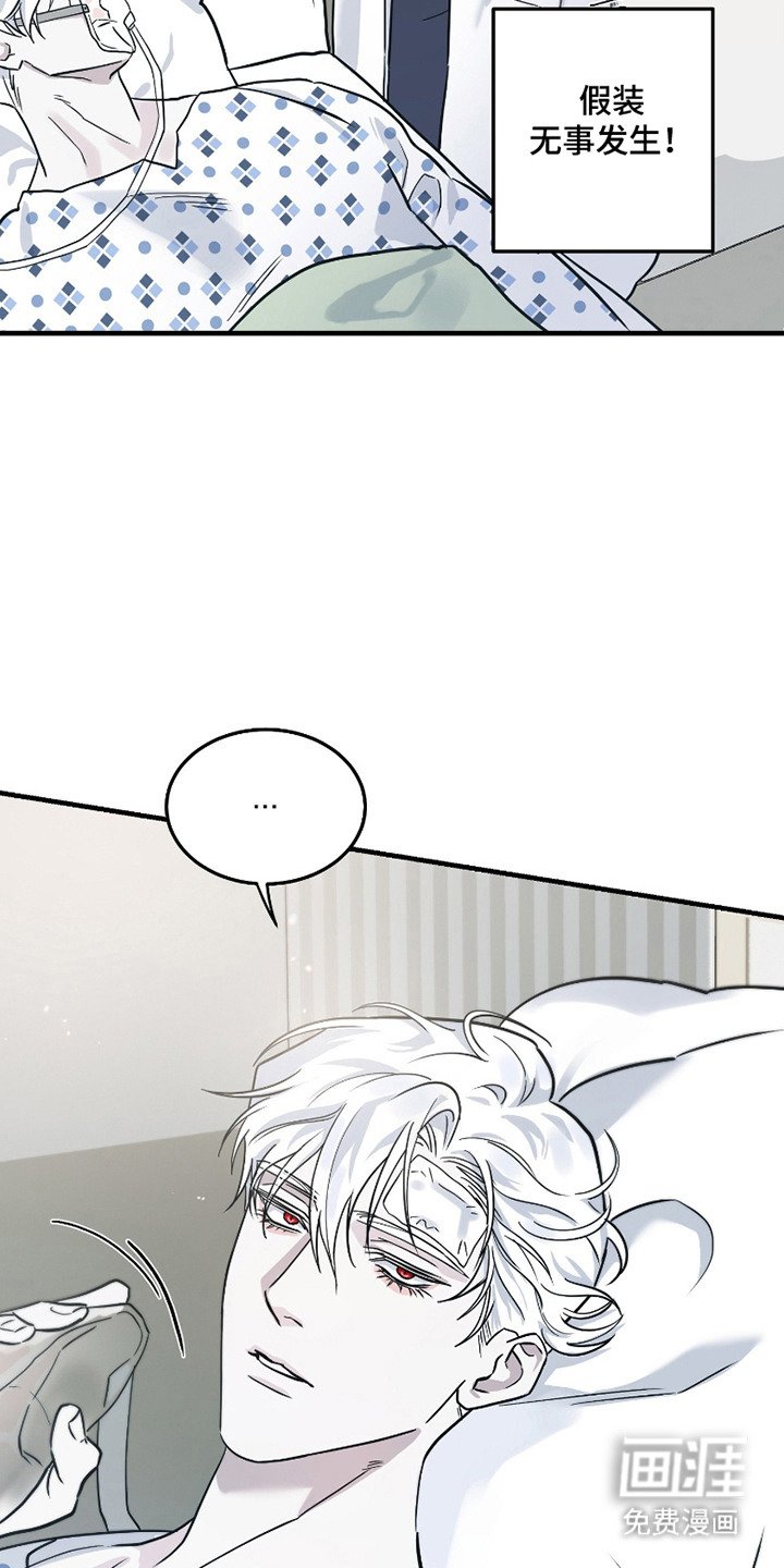 第4章：强装镇定