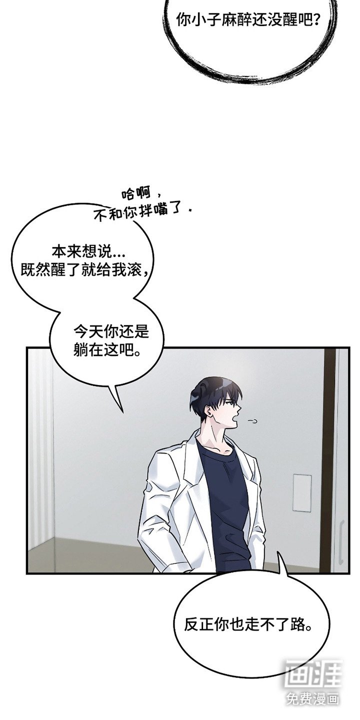 第4章：强装镇定