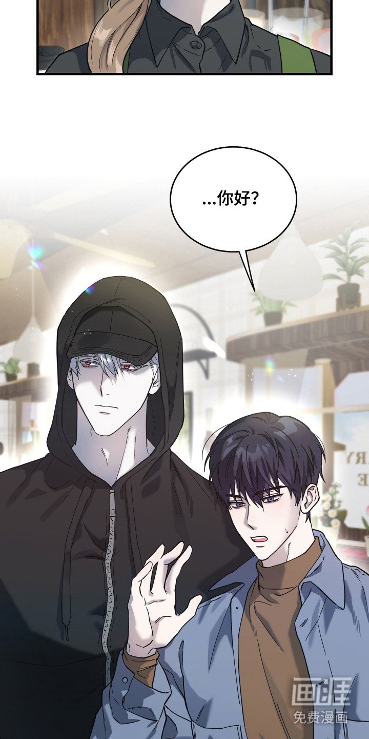 第8章：关注