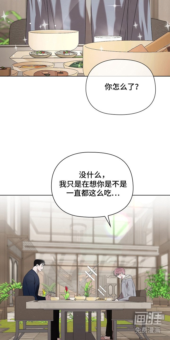 第14章：阿尔法