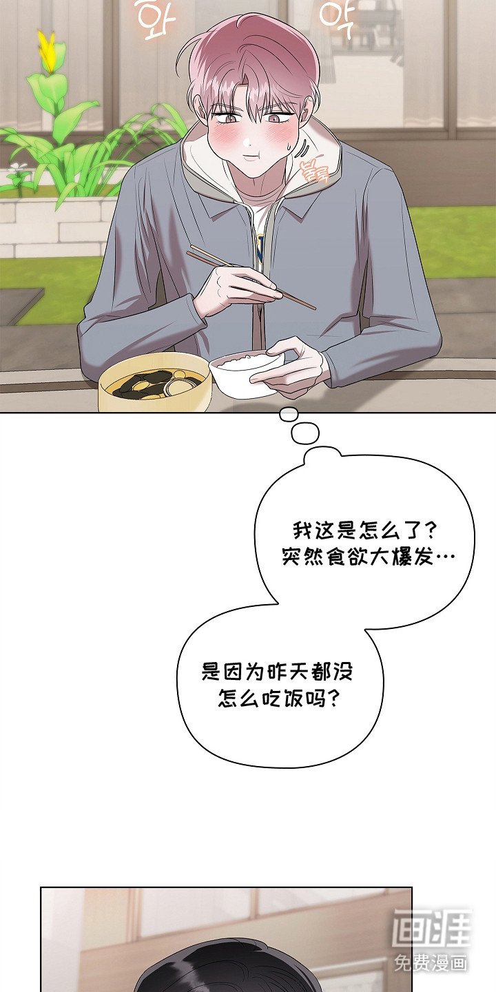 第14章：阿尔法