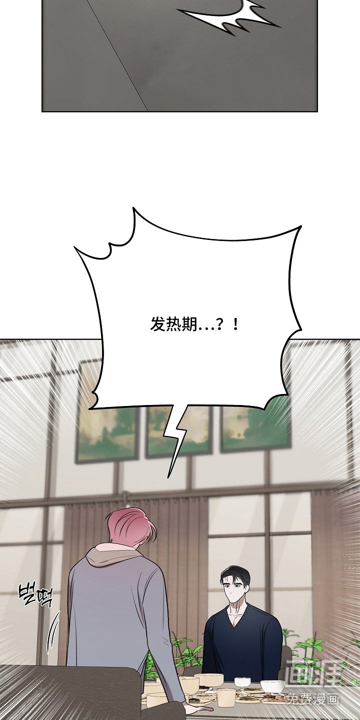 第14章：阿尔法