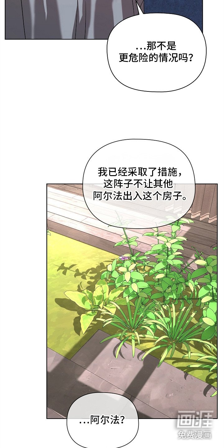 第14章：阿尔法