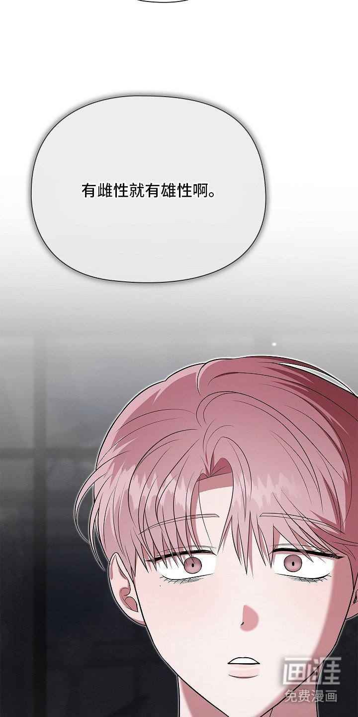 第14章：阿尔法