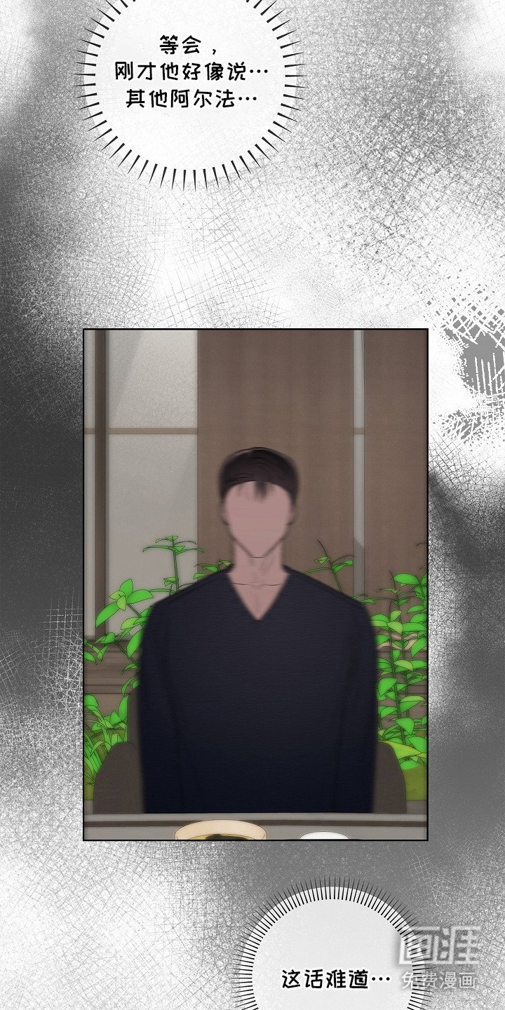 第14章：阿尔法