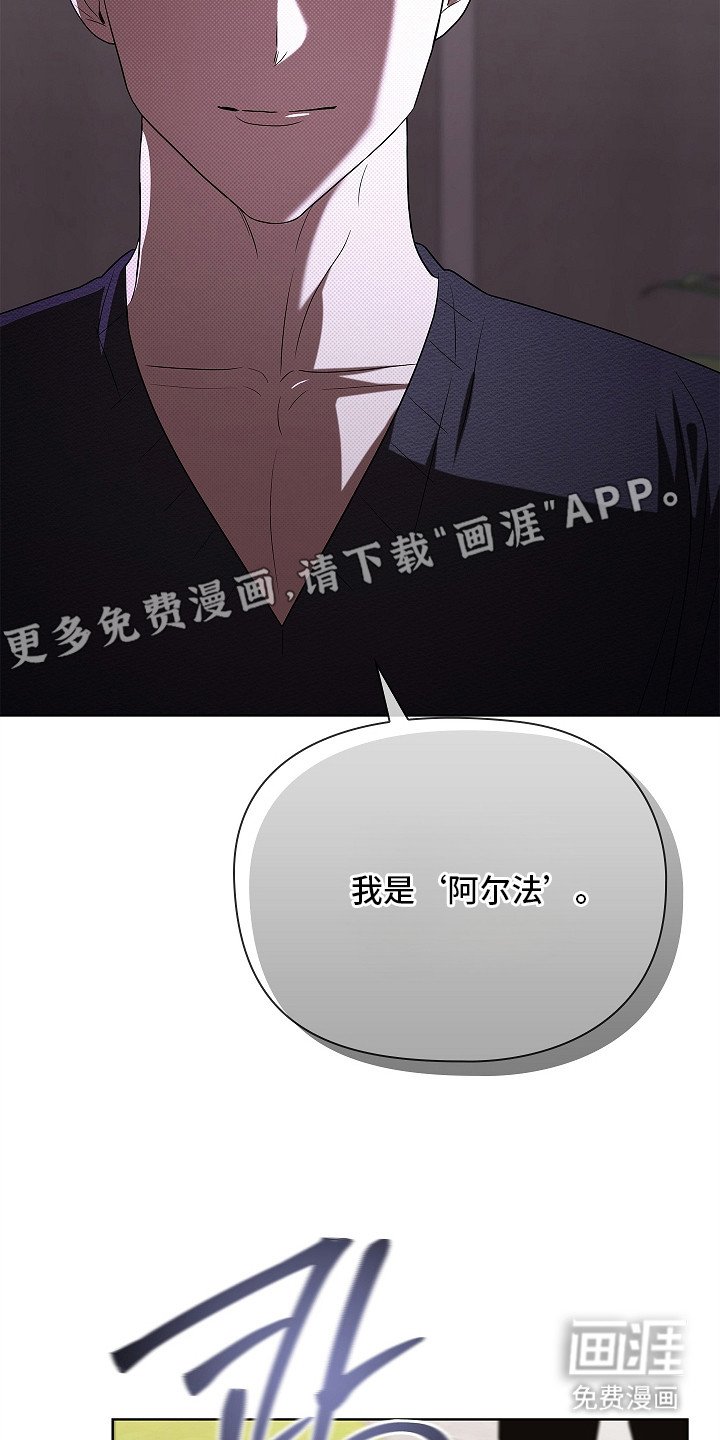 第14章：阿尔法
