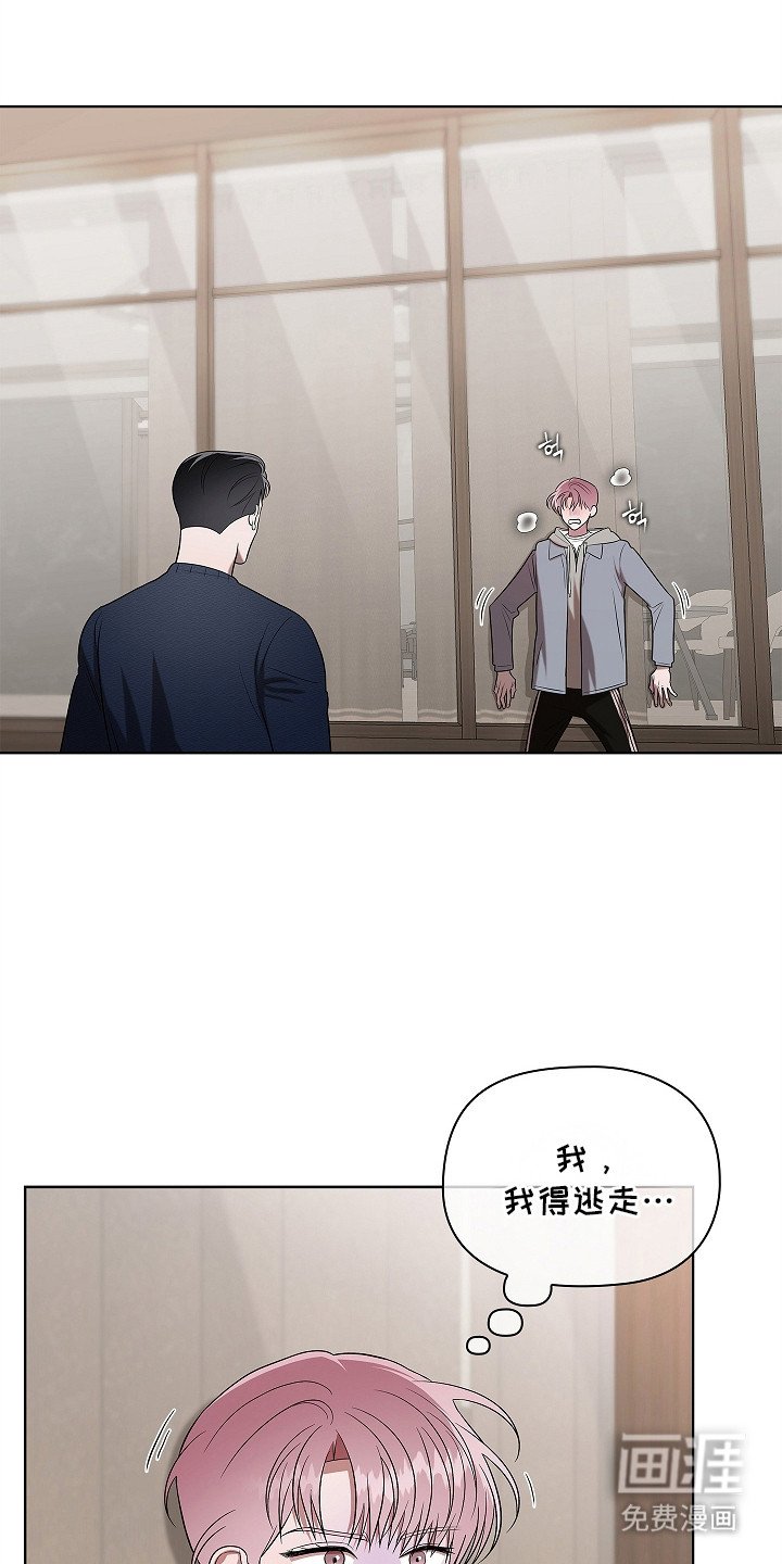 第14章：阿尔法