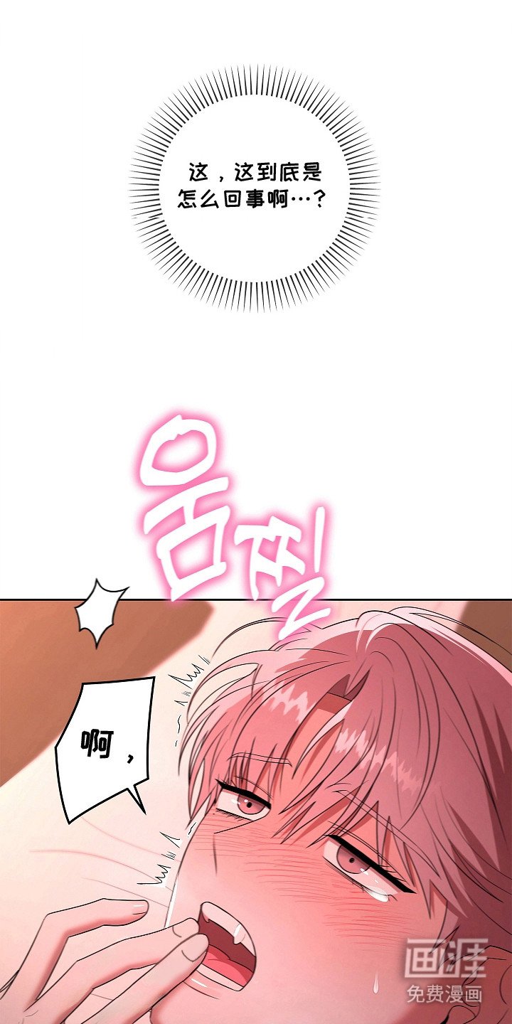 第17章：晕头转向