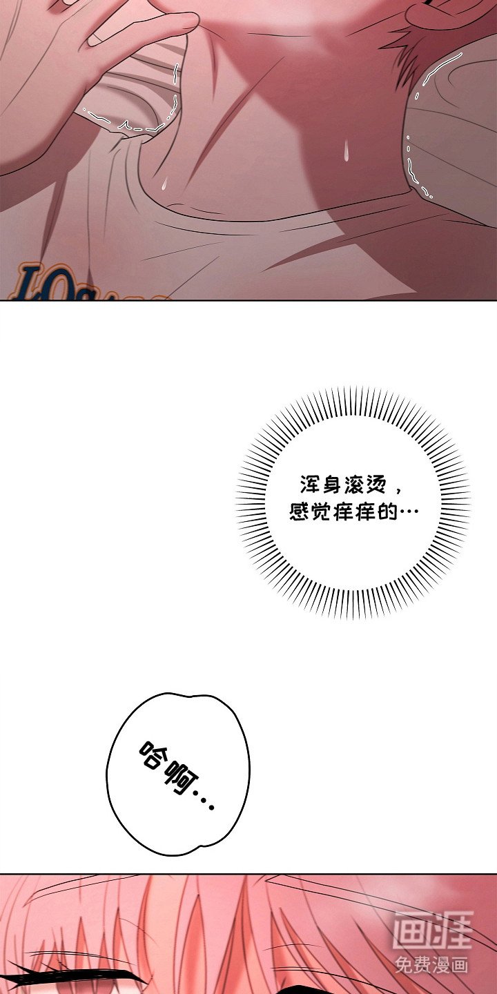 第17章：晕头转向