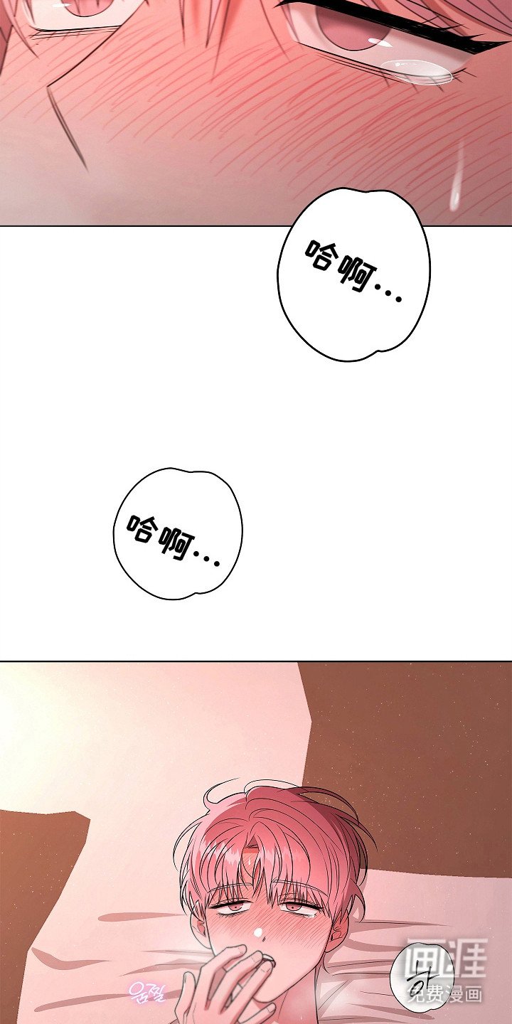 第17章：晕头转向
